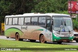 Turin Transportes 1320 na cidade de Conselheiro Lafaiete, Minas Gerais, Brasil, por Lucas Oliveira. Número da foto: #10761975.