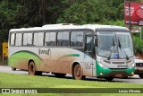 Turin Transportes 1320 na cidade de Conselheiro Lafaiete, Minas Gerais, Brasil, por Lucas Oliveira. ID da foto: :id.