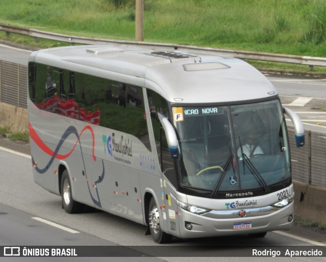 TransGabriel Transportes e Locações 2021 na cidade de Aparecida, São Paulo, Brasil, por Rodrigo  Aparecido. Número da foto: #10766177.