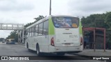 Viação Pavunense B32795 na cidade de Rio de Janeiro, Rio de Janeiro, Brasil, por Miguel Souza. Número da foto: #10763619.