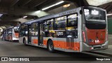 TRANSPPASS - Transporte de Passageiros 8 0513 na cidade de São Paulo, São Paulo, Brasil, por Thiago Lima. Número da foto: #:id.