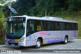 Rota Transportes Rodoviários 8095 na cidade de Petrópolis, Rio de Janeiro, Brasil, por Paulo Henrique Pereira Borges. Número da foto: #10766607.