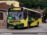 TREL - Transturismo Rei RJ 165.295 na cidade de Petrópolis, Rio de Janeiro, Brasil, por Wellington Freitas. Número da foto: #10766663.