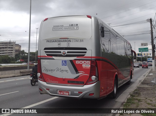 Empresa de Ônibus Pássaro Marron 6005 na cidade de São Paulo, São Paulo, Brasil, por Rafael Lopes de Oliveira. Número da foto: #10770835.