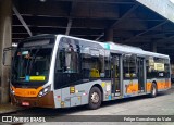 TRANSPPASS - Transporte de Passageiros 8 1502 na cidade de São Paulo, São Paulo, Brasil, por Felipe Goncalves do Vale. Número da foto: #10774112.