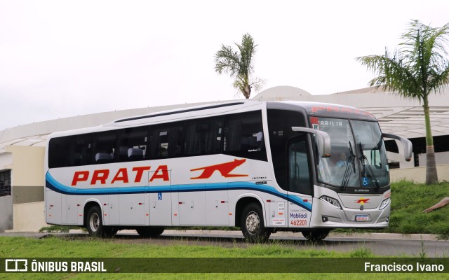 Expresso de Prata 462201 na cidade de Marília, São Paulo, Brasil, por Francisco Ivano. Número da foto: #10781690.