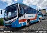 Empresa Braulino 1248 na cidade de Itapecerica, Minas Gerais, Brasil, por Vicente de Paulo Alves. Número da foto: #10783442.