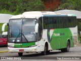 Pássaro Verde 29020 na cidade de João Monlevade, Minas Gerais, Brasil, por Tiago Wenceslau de Souza. Número da foto: #10782850.