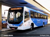 Cidade das Hortênsias 3041 na cidade de Petrópolis, Rio de Janeiro, Brasil, por Wellington Freitas. Número da foto: #10784385.
