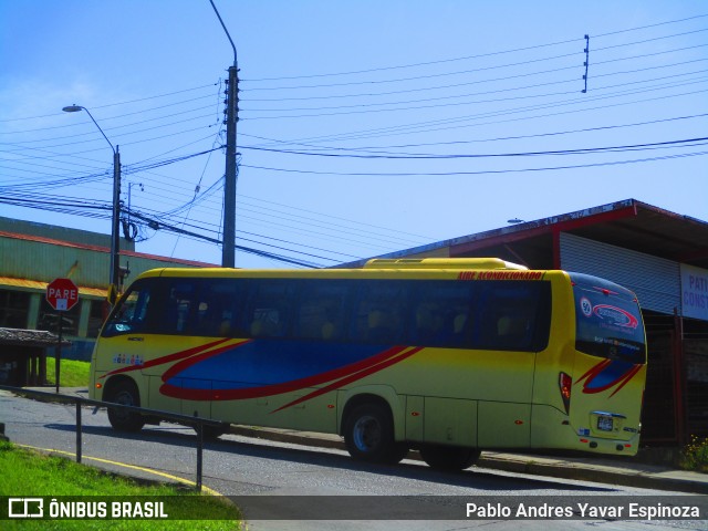 Transportes Costa Barria PPKP50 na cidade de Ancud, Chiloé, Los Lagos, Chile, por Pablo Andres Yavar Espinoza. Número da foto: #10733015.