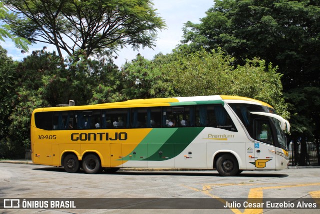Empresa Gontijo de Transportes 18485 na cidade de São Paulo, São Paulo, Brasil, por Julio Cesar Euzebio Alves. Número da foto: #10793946.