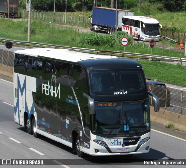 Empresa de Ônibus Nossa Senhora da Penha 61295 na cidade de Aparecida, São Paulo, Brasil, por Rodrigo  Aparecido. Número da foto: #10797832.
