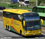 Segeltur Transportes 2022 na cidade de Aparecida, São Paulo, Brasil, por Rodrigo  Aparecido. Número da foto: #10797825.