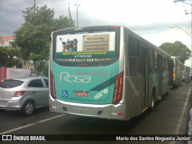 Rosa Feira de Santana 15579 na cidade de Feira de Santana, Bahia, Brasil, por Mario dos Santos Nogueira Junior. ID da foto: 10804677.