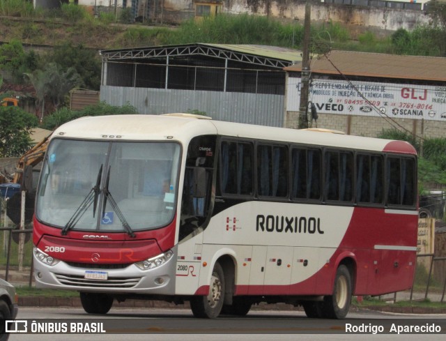 Rouxinol 2080 na cidade de Conselheiro Lafaiete, Minas Gerais, Brasil, por Rodrigo  Aparecido. Número da foto: #10808448.