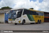 Empresa Gontijo de Transportes 19060 na cidade de Vitória da Conquista, Bahia, Brasil, por Cleber Bus. Número da foto: #10806434.