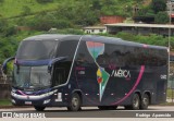 Nova América Turismo 2602 na cidade de Conselheiro Lafaiete, Minas Gerais, Brasil, por Rodrigo  Aparecido. Número da foto: #10808420.