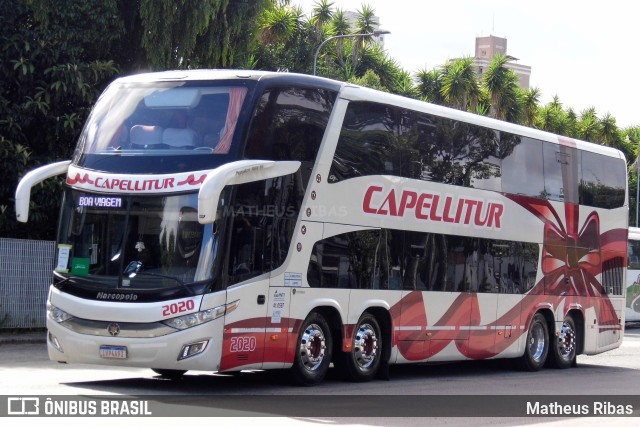 Capellitur 2020 na cidade de Curitiba, Paraná, Brasil, por Matheus Ribas. Número da foto: #10821269.