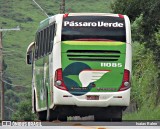 Pássaro Verde 11085 na cidade de Santos Dumont, Minas Gerais, Brasil, por Isaias Ralen. ID da foto: :id.