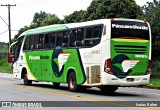 Pássaro Verde 11085 na cidade de Santos Dumont, Minas Gerais, Brasil, por Isaias Ralen. Número da foto: #:id.