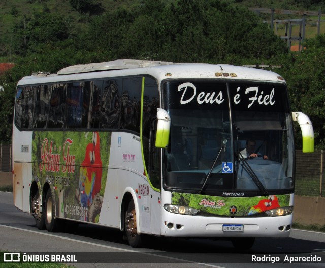 Petrini Tur 19319 na cidade de Aparecida, São Paulo, Brasil, por Rodrigo  Aparecido. Número da foto: #10736970.