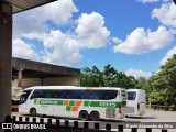 Empresa Gontijo de Transportes 21375 na cidade de Belo Horizonte, Minas Gerais, Brasil, por Paulo Alexandre da Silva. Número da foto: #10827482.