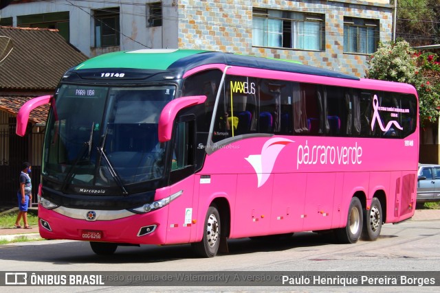 Pássaro Verde 19149 na cidade de Ponte Nova, Minas Gerais, Brasil, por Paulo Henrique Pereira Borges. Número da foto: #10830905.
