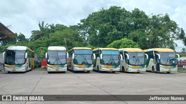 Empresa Gontijo de Transportes 14000 na cidade de Recife, Pernambuco, Brasil, por Jefferson Nunes. ID da foto: 10741710.