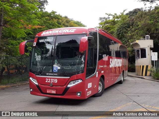 Viação Santa Cruz 22319 na cidade de São Paulo, São Paulo, Brasil, por Andre Santos de Moraes. ID da foto: 10739535.