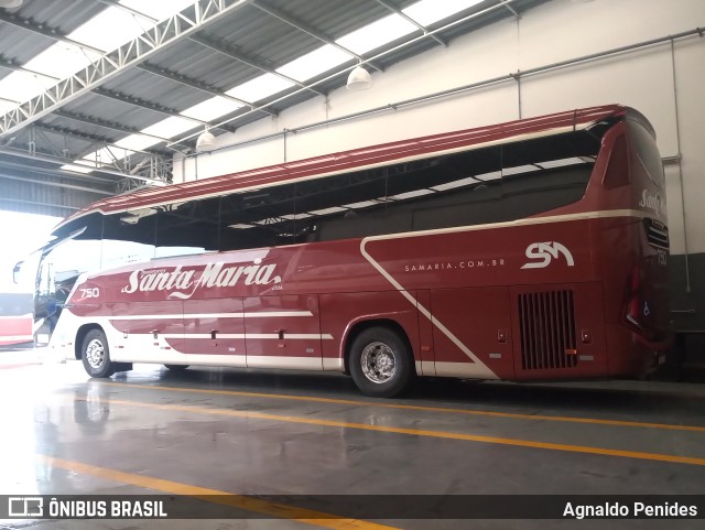 Santa Maria Fretamento e Turismo > Transportes Santa Maria(SP) 750 na cidade de São Bernardo do Campo, São Paulo, Brasil, por Agnaldo Penides. Número da foto: #10742528.
