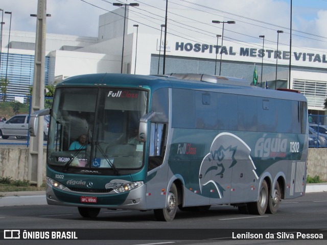 Águia Turismo 11302 na cidade de Caruaru, Pernambuco, Brasil, por Lenilson da Silva Pessoa. Número da foto: #10748058.