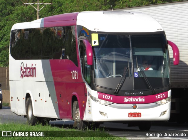 Sabadini Transportes 1021 na cidade de Aparecida, São Paulo, Brasil, por Rodrigo  Aparecido. Número da foto: #10751527.