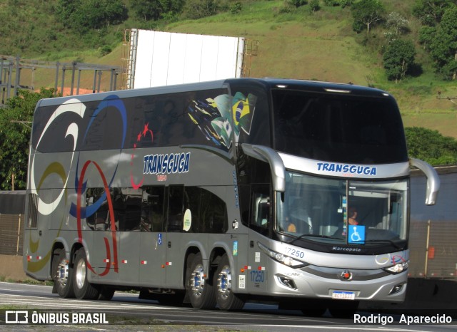 Transguga Transportes e Turismo 17250 na cidade de Aparecida, São Paulo, Brasil, por Rodrigo  Aparecido. Número da foto: #10751680.