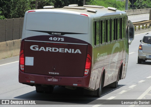 Expresso Gardenia 4075 na cidade de Aparecida, São Paulo, Brasil, por Leonardo Daniel. ID da foto: 10751386.