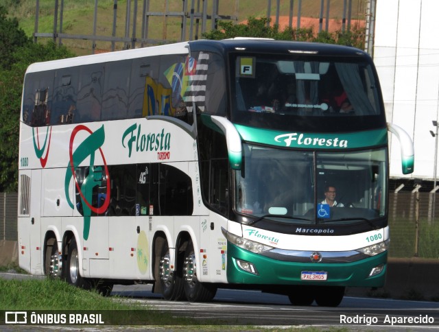 Floresta Turismo 1080 na cidade de Aparecida, São Paulo, Brasil, por Rodrigo  Aparecido. Número da foto: #10754457.