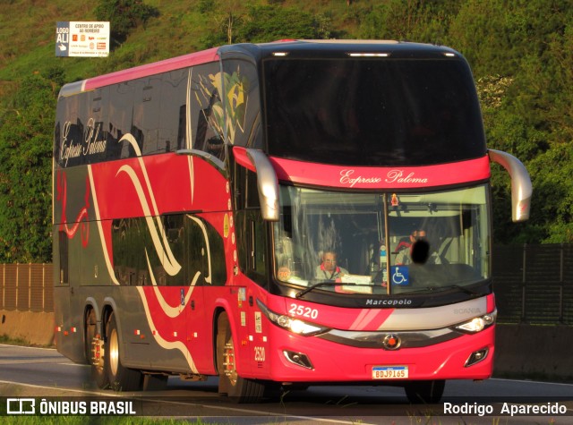 Expresso Paloma 2520 na cidade de Aparecida, São Paulo, Brasil, por Rodrigo  Aparecido. ID da foto: 10755600.