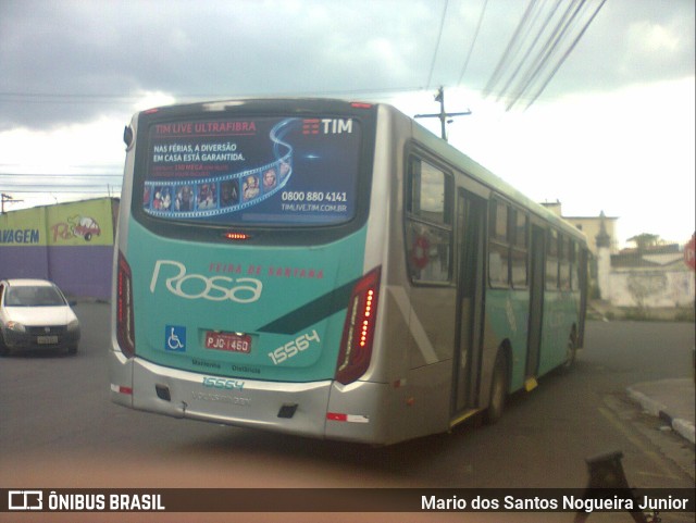 Rosa Feira de Santana 15564 na cidade de Feira de Santana, Bahia, Brasil, por Mario dos Santos Nogueira Junior. ID da foto: 10757311.