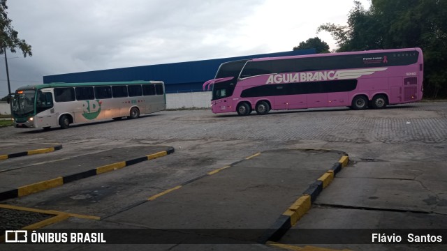 Viação Águia Branca 50410 na cidade de Cruz das Almas, Bahia, Brasil, por Flávio  Santos. Número da foto: #10757777.