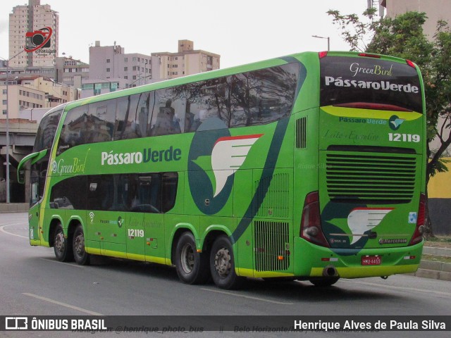 Pássaro Verde 12119 na cidade de Belo Horizonte, Minas Gerais, Brasil, por Henrique Alves de Paula Silva. ID da foto: 11502382.