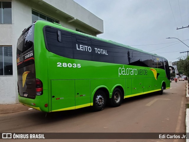 Pássaro Verde 28035 na cidade de Barão de Cocais, Minas Gerais, Brasil, por Edi Carlos Jr.. ID da foto: 11499306.