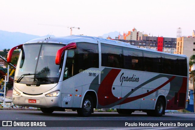 Grandino Transportes 6600 na cidade de Aparecida, São Paulo, Brasil, por Paulo Henrique Pereira Borges. Número da foto: #11500169.