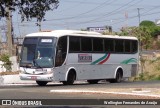 Transilveira 97 na cidade de Teresina, Piauí, Brasil, por Wellington Fernandes de Araújo. Número da foto: #11502039.