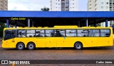 Volkswagen Ônibus e Caminhões - MAN Latin America 22260 na cidade de Goiânia, Goiás, Brasil, por Carlos Júnior. ID da foto: :id.