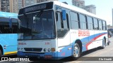 Brubuss Transportes 100 na cidade de Barueri, São Paulo, Brasil, por Cle Giraldi. ID da foto: :id.