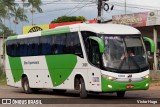 Comércio e Transportes Boa Esperança 3101 na cidade de Santa Maria do Pará, Pará, Brasil, por Victor Hugo. Número da foto: #11529469.