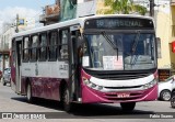 Transportadora Arsenal AA-001 na cidade de Belém, Pará, Brasil, por Fabio Soares. Número da foto: #11530226.