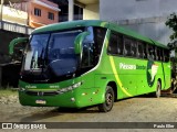 Pássaro Verde 11095 na cidade de Manhumirim, Minas Gerais, Brasil, por Paulo Eller. Número da foto: #11531330.