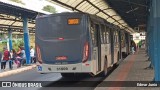 Bettania Ônibus 31009 na cidade de Belo Horizonte, Minas Gerais, Brasil, por Edmar Junio. Número da foto: #:id.
