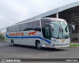Expresso de Prata 462208 na cidade de Agudos, São Paulo, Brasil, por Gabriel Correa. Número da foto: #11540791.