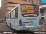 Expresso Rio Guaíba 1114 na cidade de Porto Alegre, Rio Grande do Sul, Brasil, por Gabriel da Silva Ristow. Número da foto: #11542505.